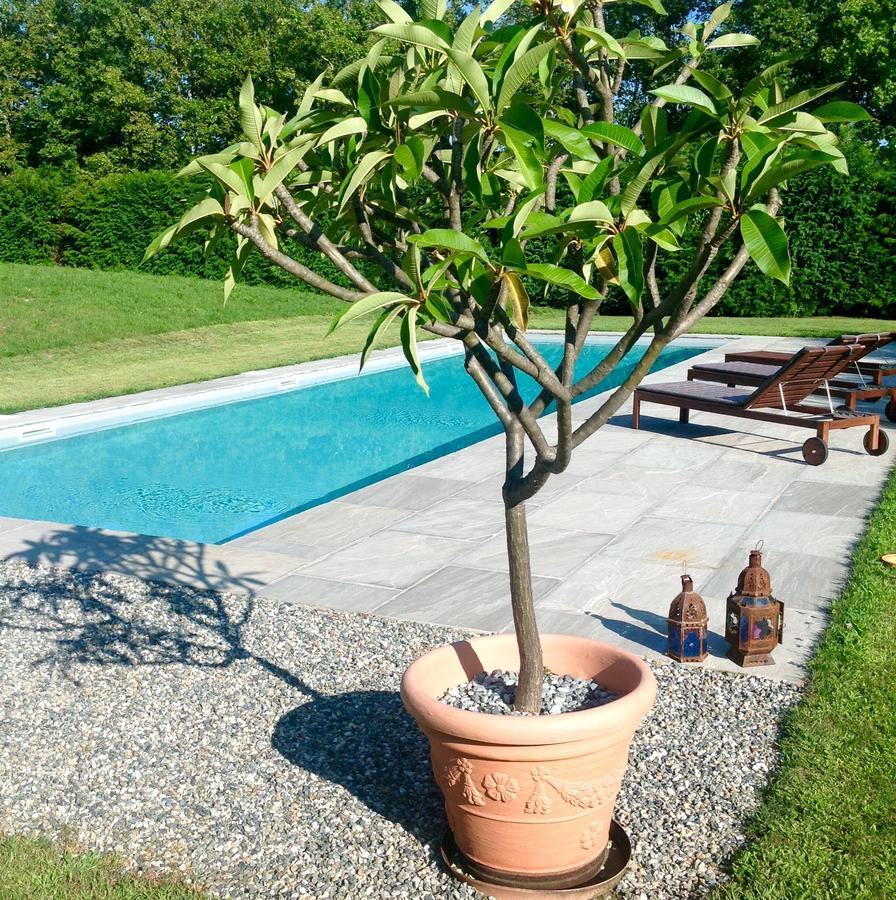 Bed and Breakfast Alla Gazza Ladra Prato Sesia Номер фото
